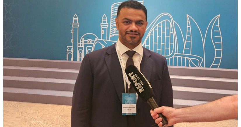 UAE plans to implement joint audit projects with Azerbaijan