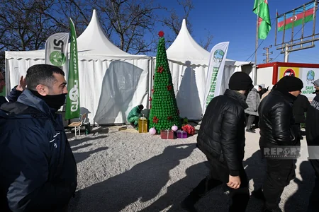 Environmental activists set up New Year tree in area of protest on Khankandi-Lachin road