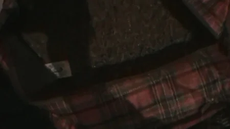 Gəncədə narkotik satan və alan şəxslər şəxslər saxlanılıb