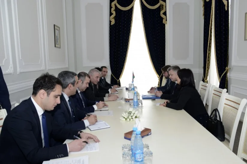 ​MSK sədri ATƏT DTİHB-in direktoru ilə görüşüb