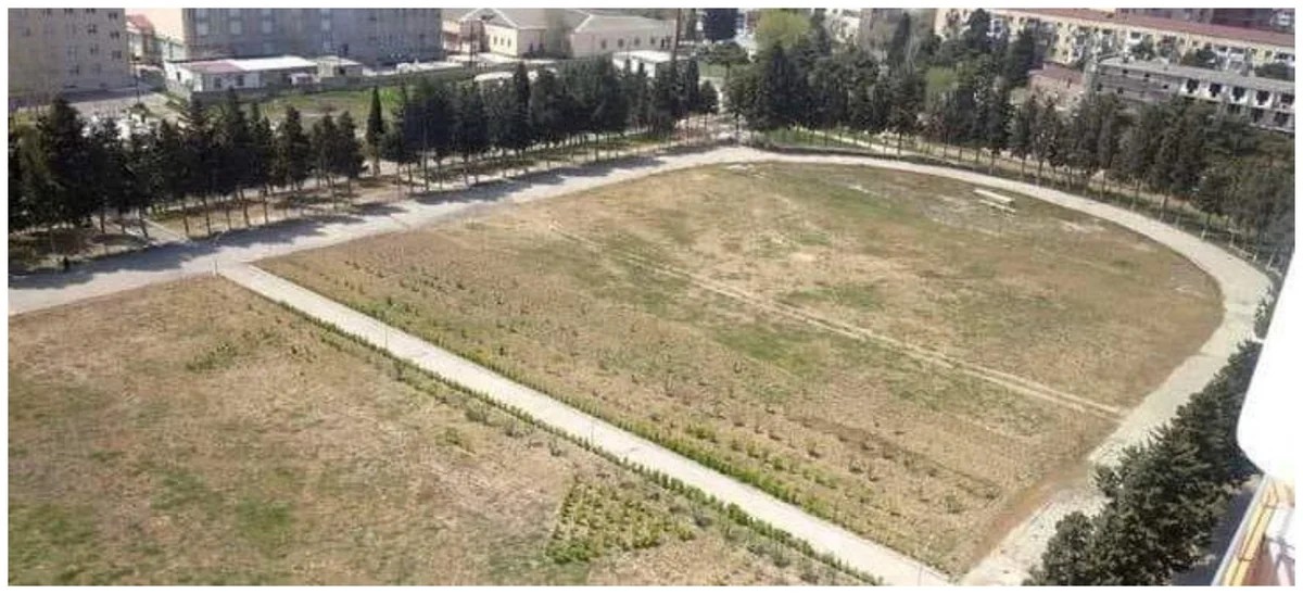 Sumqayıtda stadionun iki yerə bölünməsi ilə bağlı araşdırmalara başlanıldı