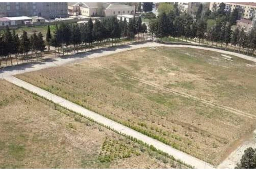 Sumqayıtda stadionun iki yerə bölünməsi ilə bağlı araşdırmalara başlanıldı