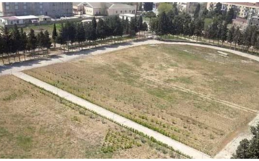 Sumqayıtda stadionun iki yerə bölünməsi ilə bağlı araşdırmalara başlanıldı