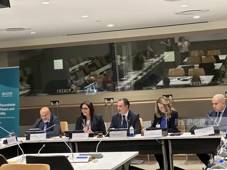 COP29 Presidency organizes UN Roundtable on Climate, Peace and Human Mobility