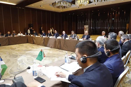 Bakıda xırdabuynuzlu heyvanların taunu və dabaq xəstəliklərinə həsr olunan beynəlxalq tədbir keçirilir