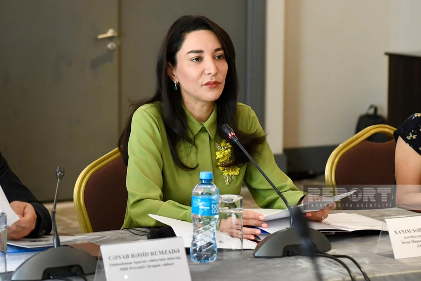 Ombudsperson comments on Amnesty International's statement on Ruben Vardanyan