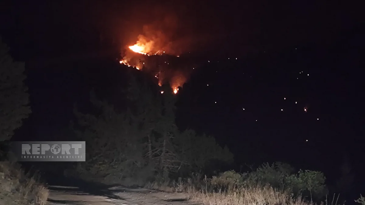 Laçında dağlıq ərazidə baş verən yanğın tam söndürülüb - YENİLƏNİB-3 - VİDEO