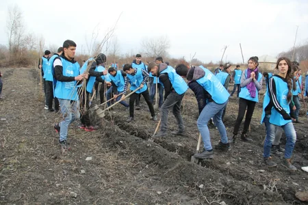 IDEA-nın dəstəyi ilə Qəbələdə 7000 ədəd akasiya ağacı əkilib
