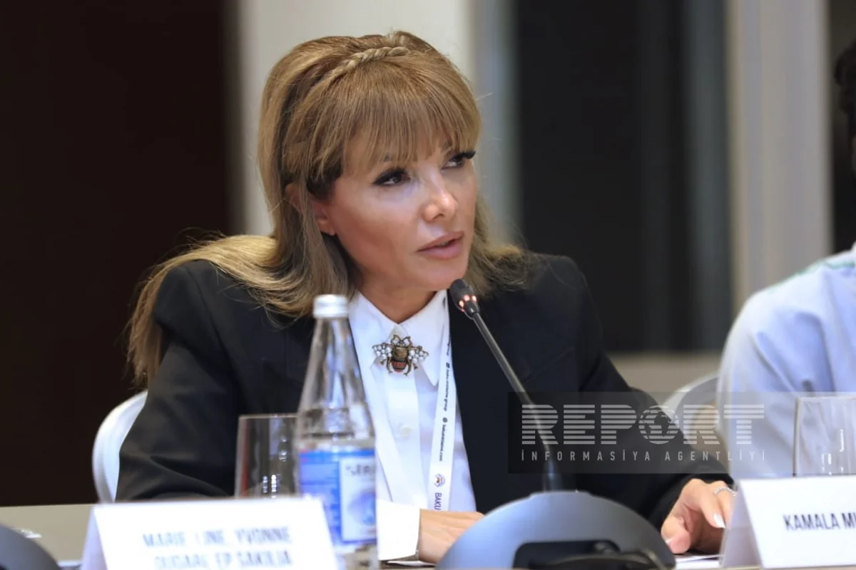 Tədqiqatçı: Müstəmləkə siyasəti ciddi qlobal problemlərə səbəb olub