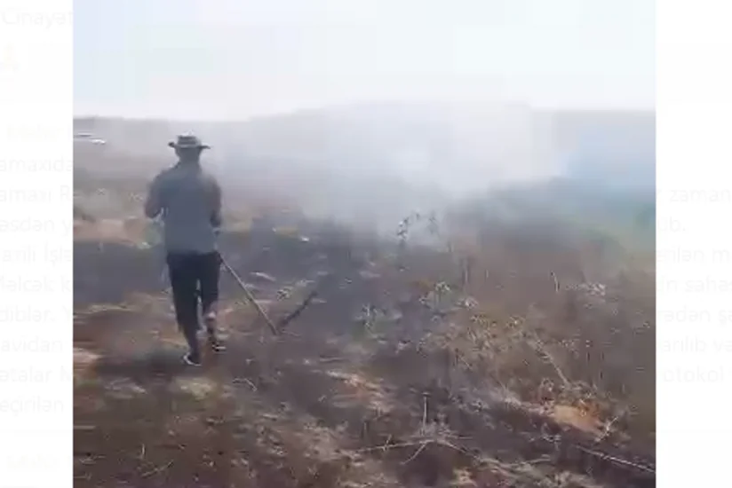 Şamaxıda biçilmiş əkin sahəsini yandıran şəxslər müəyyən olunub