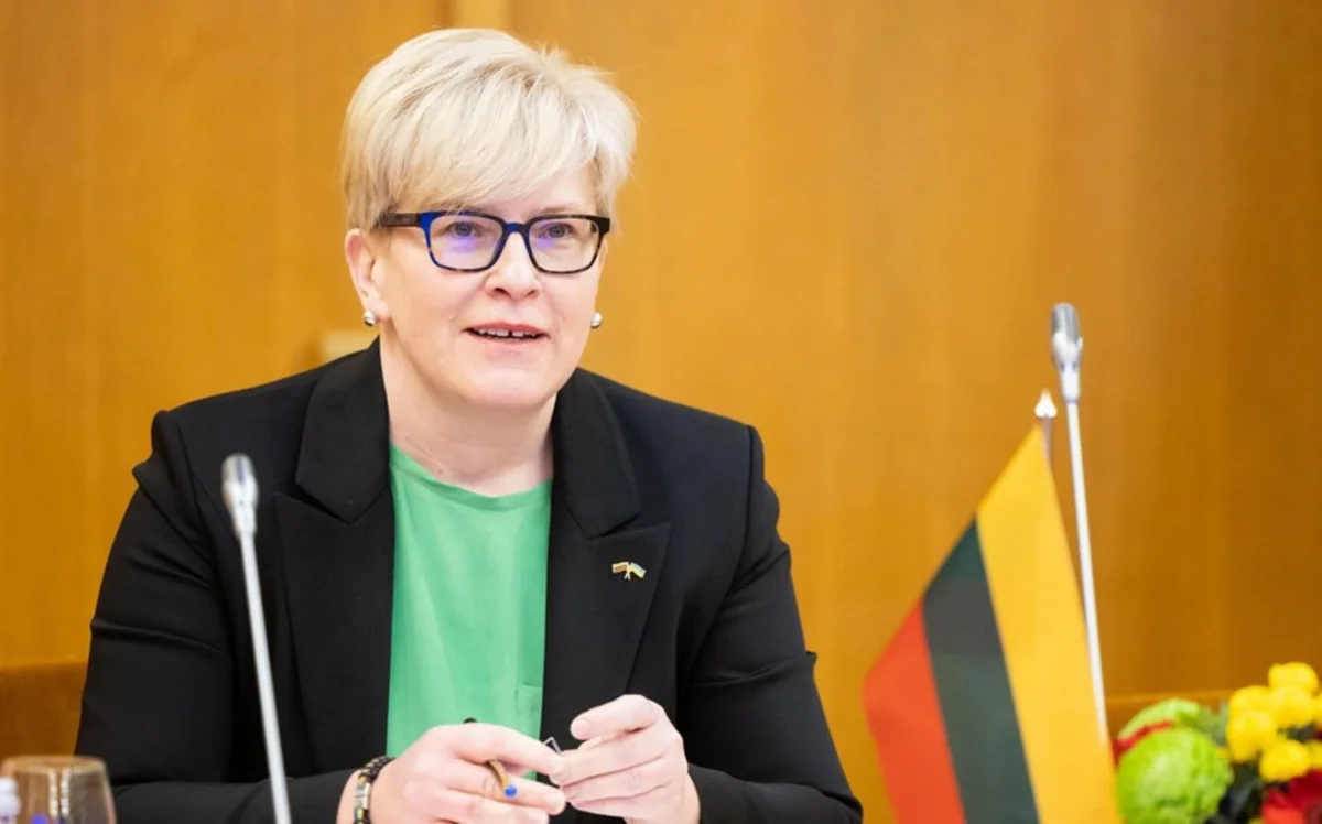 Премьер Литвы представила президенту состав нового правительства