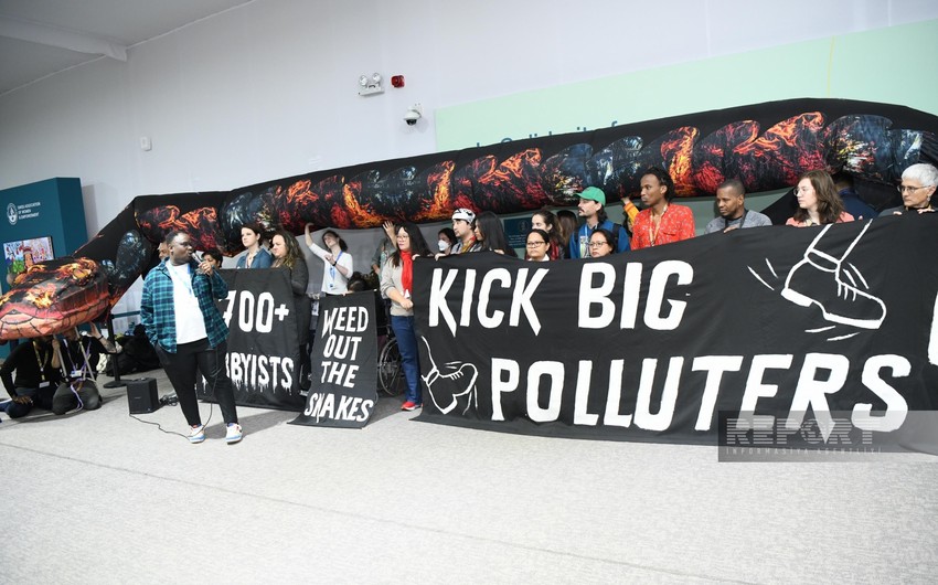 Ekofəallar Bakıda COP29-da iri çirkləndiricilərə qarşı aksiya keçirirlər