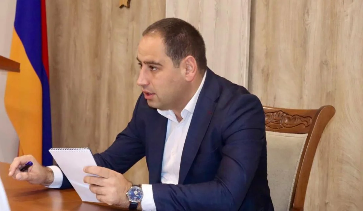 Minister: Text of peace treaty with Azerbaijan holds no tragic implications for Armenia