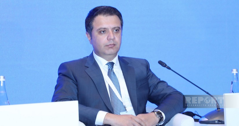 Sadig Aliyev: About 400,000 people were provided with jobs in Azerbaijan in 2024