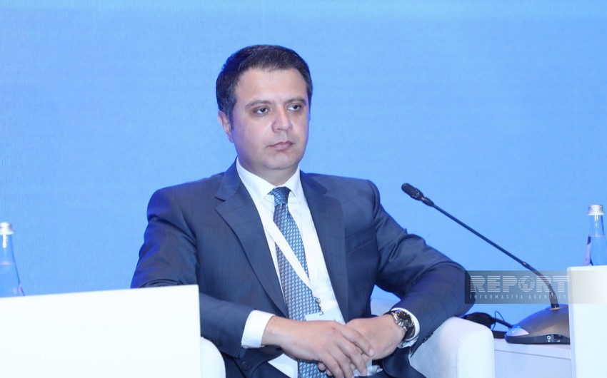 Sadig Aliyev: About 400,000 people were provided with jobs in Azerbaijan in 2024