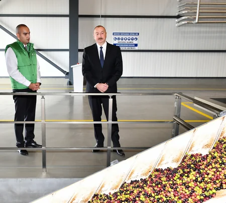 Prezident Zirədə zeytun emalı zavodunun açılışında iştirak edib - YENİLƏNİB
