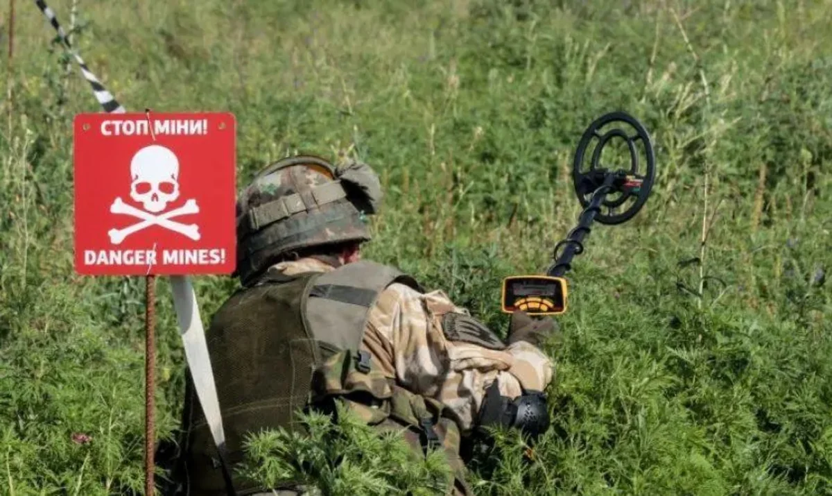 В Японии проведут обучение украинских саперов