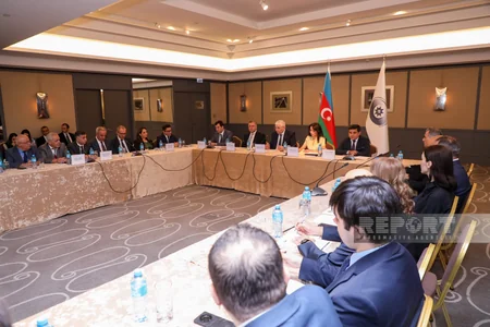 Vətəndaşların seçki hüququnun təmin olunmasına həsr edilən dəyirmi masa keçirilib