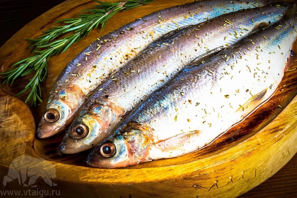 Азербайджан начал поставки сельди из Эстонии