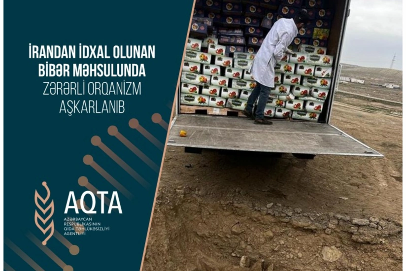 В импортированном из Ирана перце обнаружен вирус