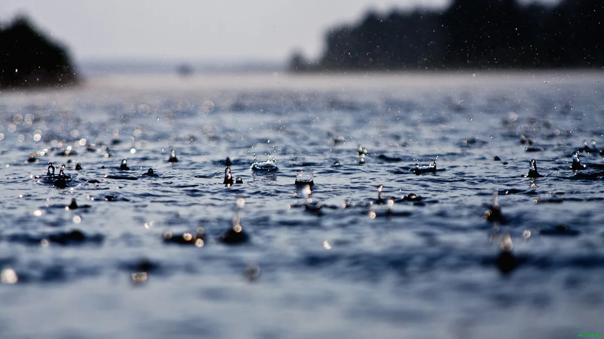 Rain, snow predicted tomorrow, strong wind will blow - WARNING