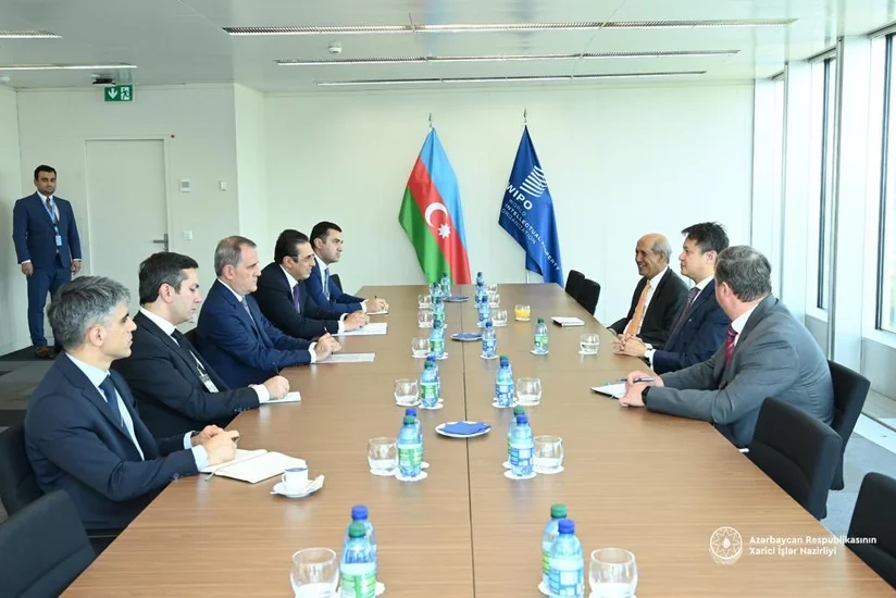 Azerbaijani FM discusses intellectual property reforms with WIPO Director General