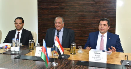 Azərbaycanla Misir arasında vergilər sahəsində əməkdaşlıq müzakirə edilib