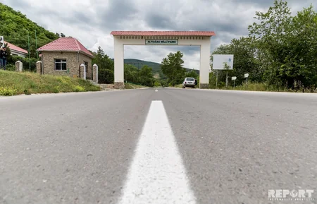 Bakıya ən yaxın böyük meşədən... - REPORTAJ