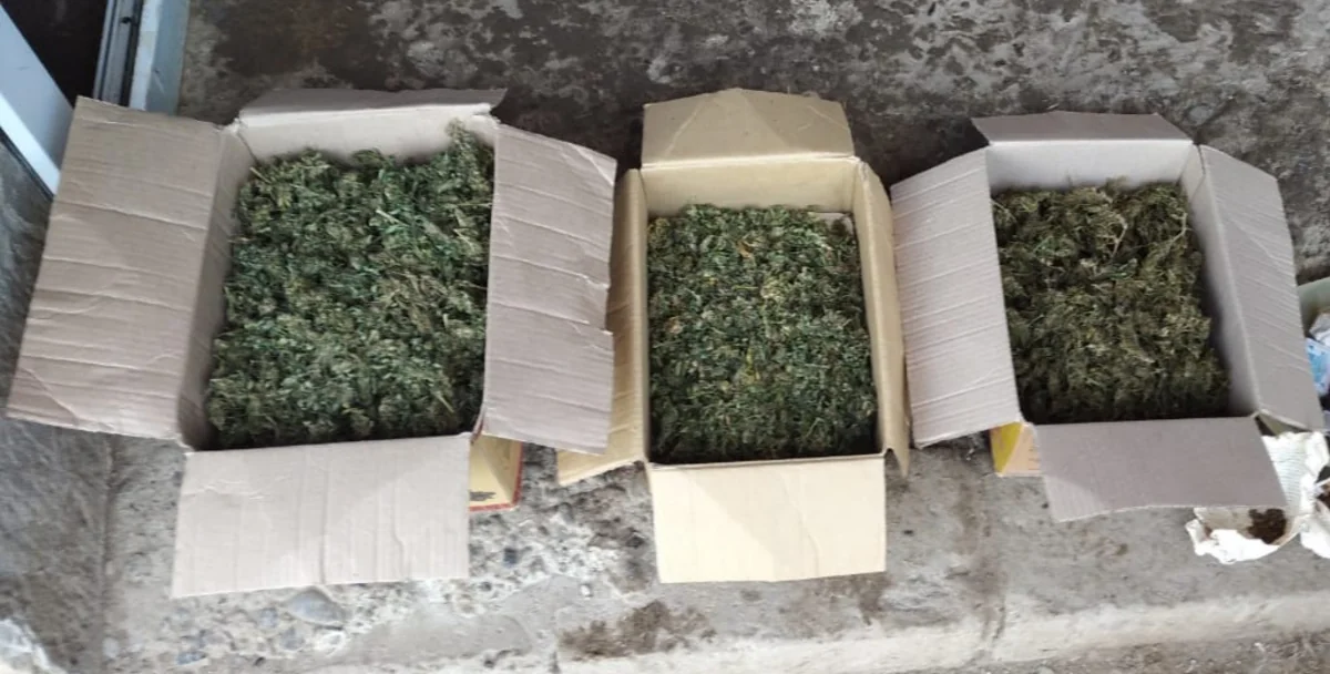 Sabirabad sakinindən 3 kq-dan artıq narkotik götürüldü