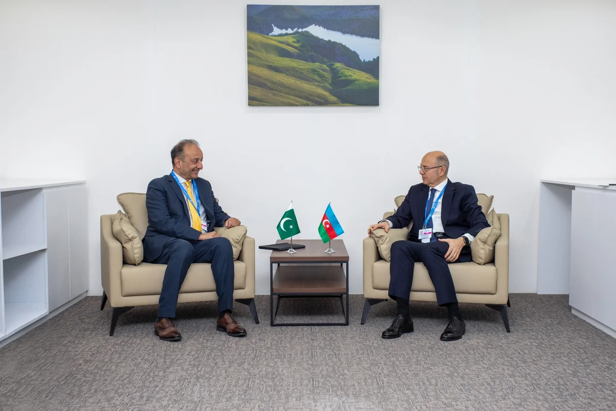 Azerbaijan’s Energy Minister holds meetings within COP29