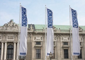 OSCE Permanent Council to hold special meeting in Vienna