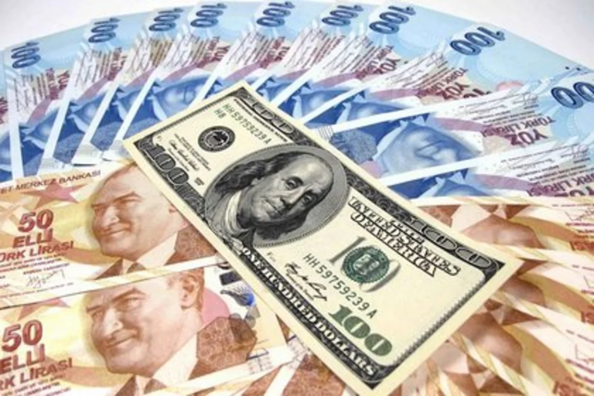 Türkiyənin valyuta ehtiyatları azalır