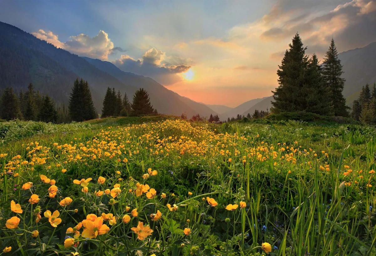 Weather forecast for Saturday announced