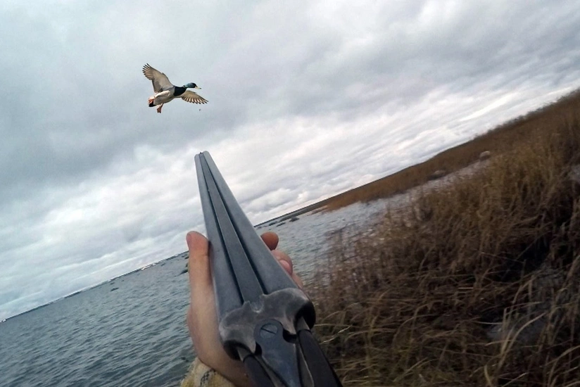 Минэкологии оштрафовало браконьеров на 4000 манатов, изъято 3 охотничьих ружья