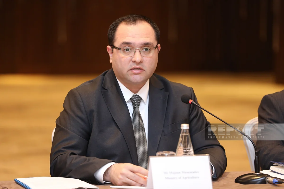 Məcnun Məmmədov Zaqatalada vətəndaşları qəbul edəcək