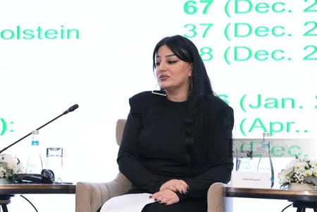 International conference on domestic violence continues in Baku