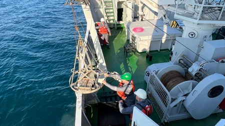 В Каспийском море проведены комплексные экологические исследования