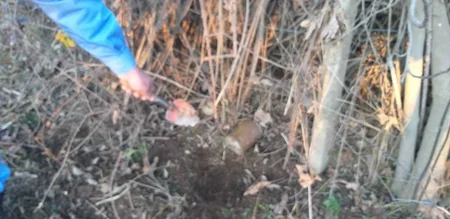 Ağcabədidə mina və əl qumbarası aşkarlandı - FOTOLAR