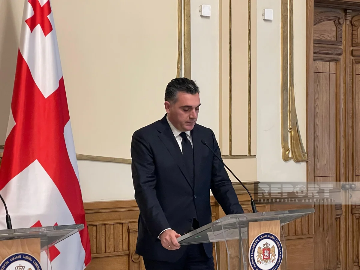 Georgia to do its best for Azerbaijan-Armenia peace, says FM