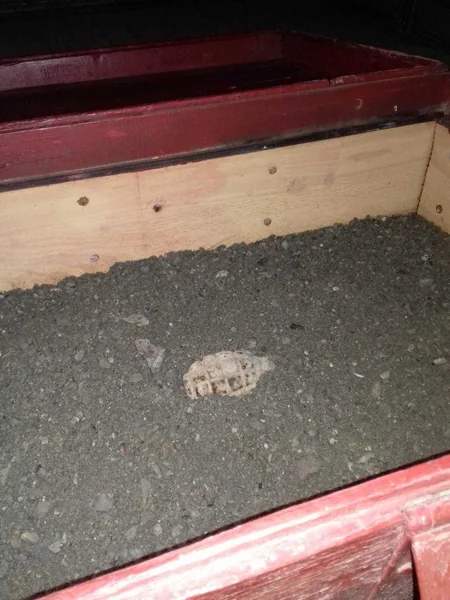 Tərtərdə əl qumbarası aşkar olunub - FOTO