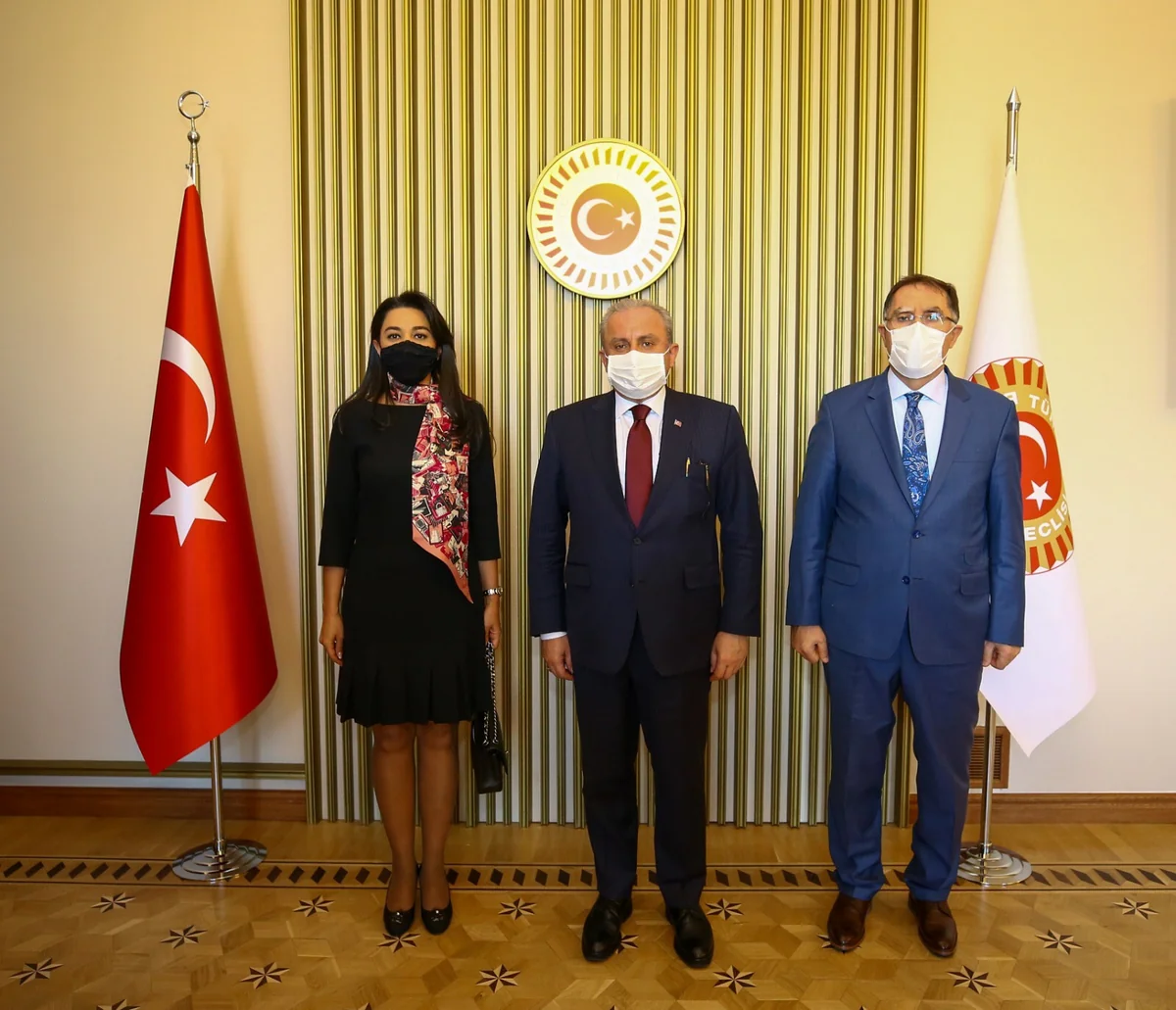 Azərbaycan Ombudsmanı Türkiyə parlamentinin sədri ilə görüşüb