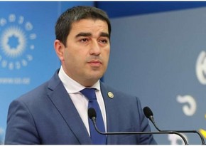 Parlament sədri: Gürcü xalqı ideoloji təhlükə ilə üz-üzədir