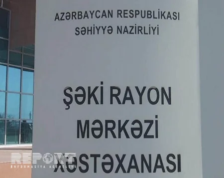 Şəkidə 45 yaşlı kişi kəsdiyi ağacın altında qalıb