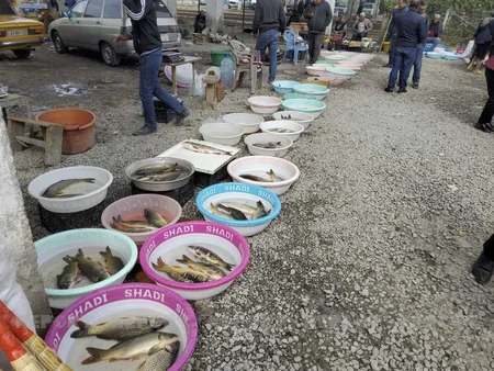 Kürdəmirdə bazarda sanitar qaydaların kobud şəkildə pozulması aşkarlanıb