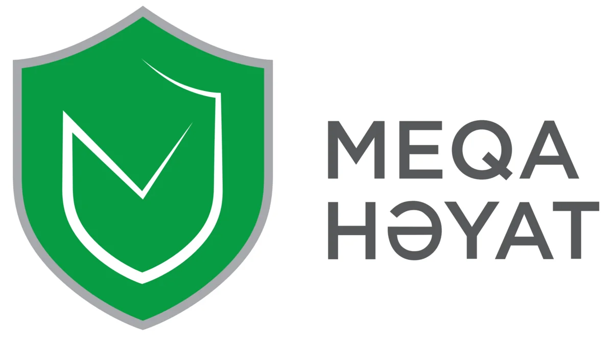 ОАО Mega Life Insurance завершило прошлый год с прибылью 