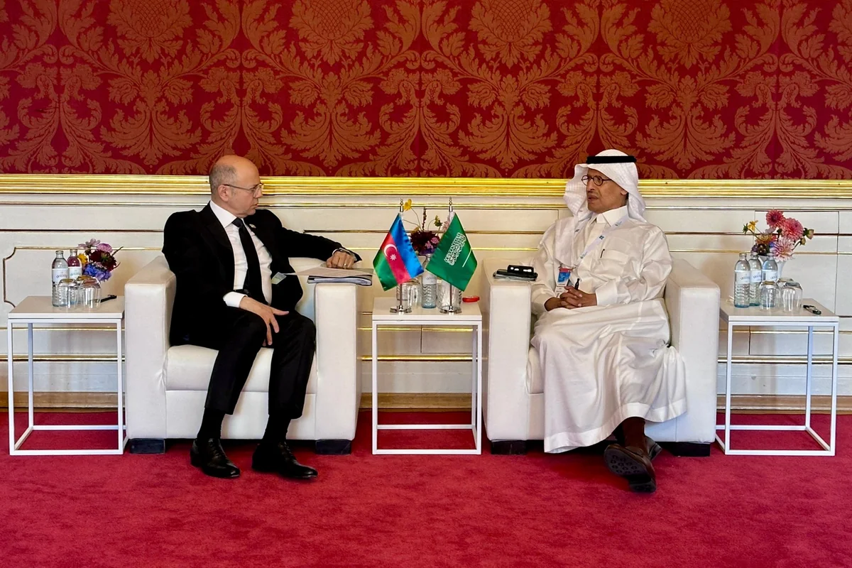 Azerbaijan, Saudi Arabia discuss co-op in hydrocarbon sector