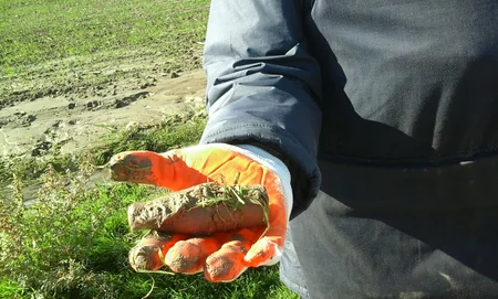 Tərtərdə əkin sahəsindən partladıcı başlıq tapılıb