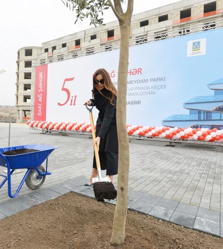 Prezident İlham Əliyev “Bakı Ağ Şəhər”də görülən işlərlə tanış olub - YENİLƏNİB