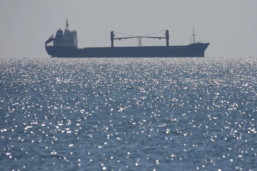 Турция ведет переговоры о заблокированных судах у побережья Черного моря