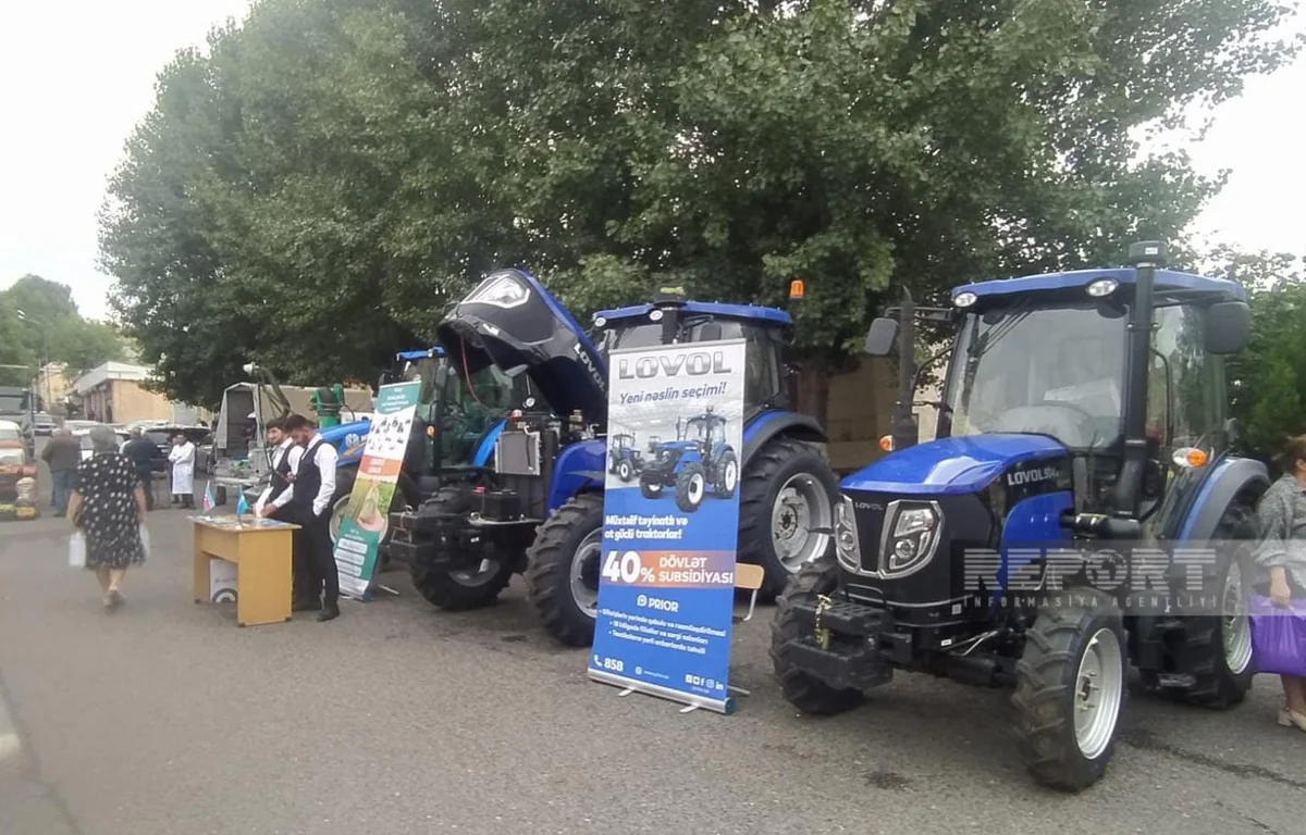 Daşkəsəndə Aqrar Biznes Festivalı keçirilib